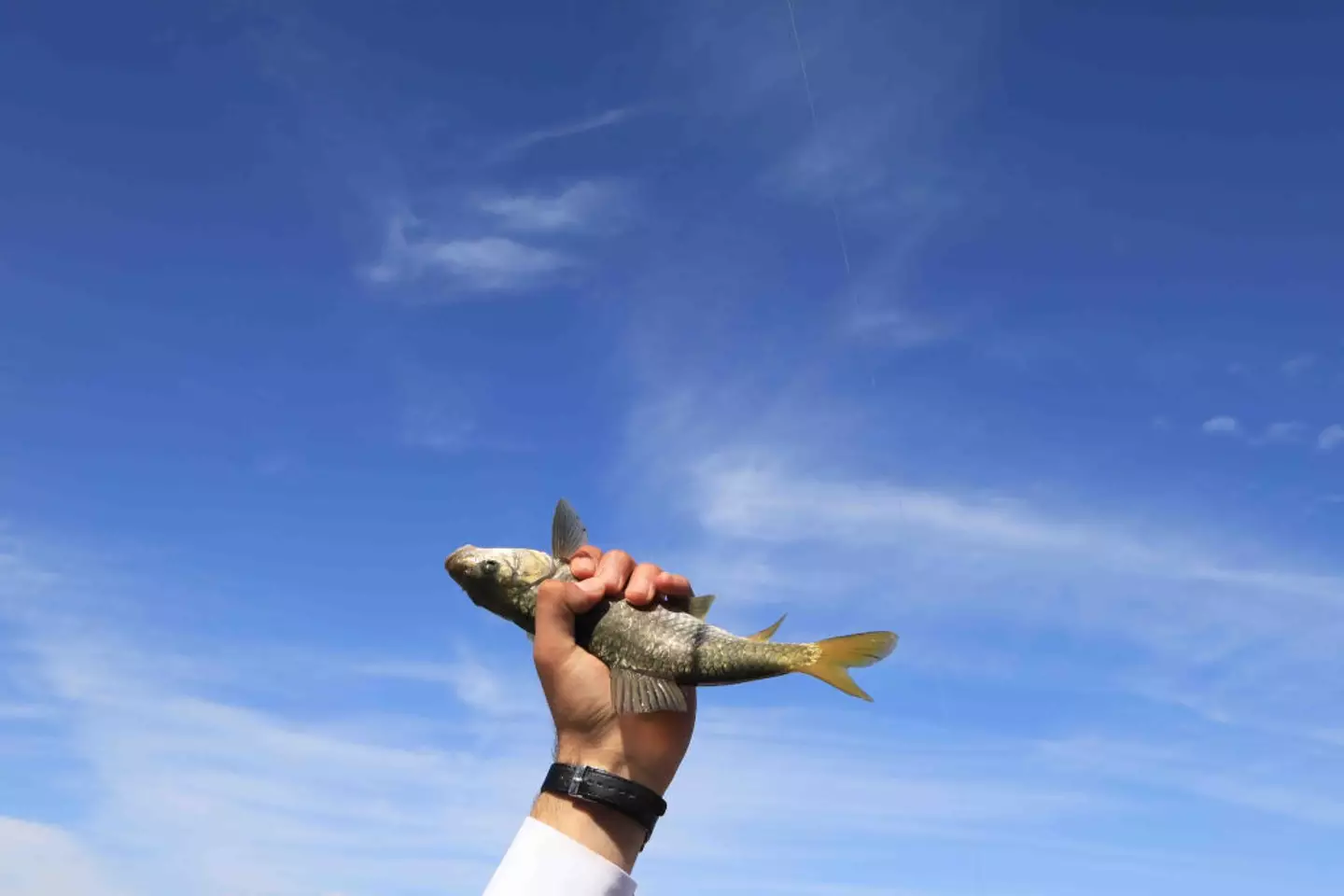 The Sea of Galilee is a popular fishing spot (David Silverman/Getty Images)