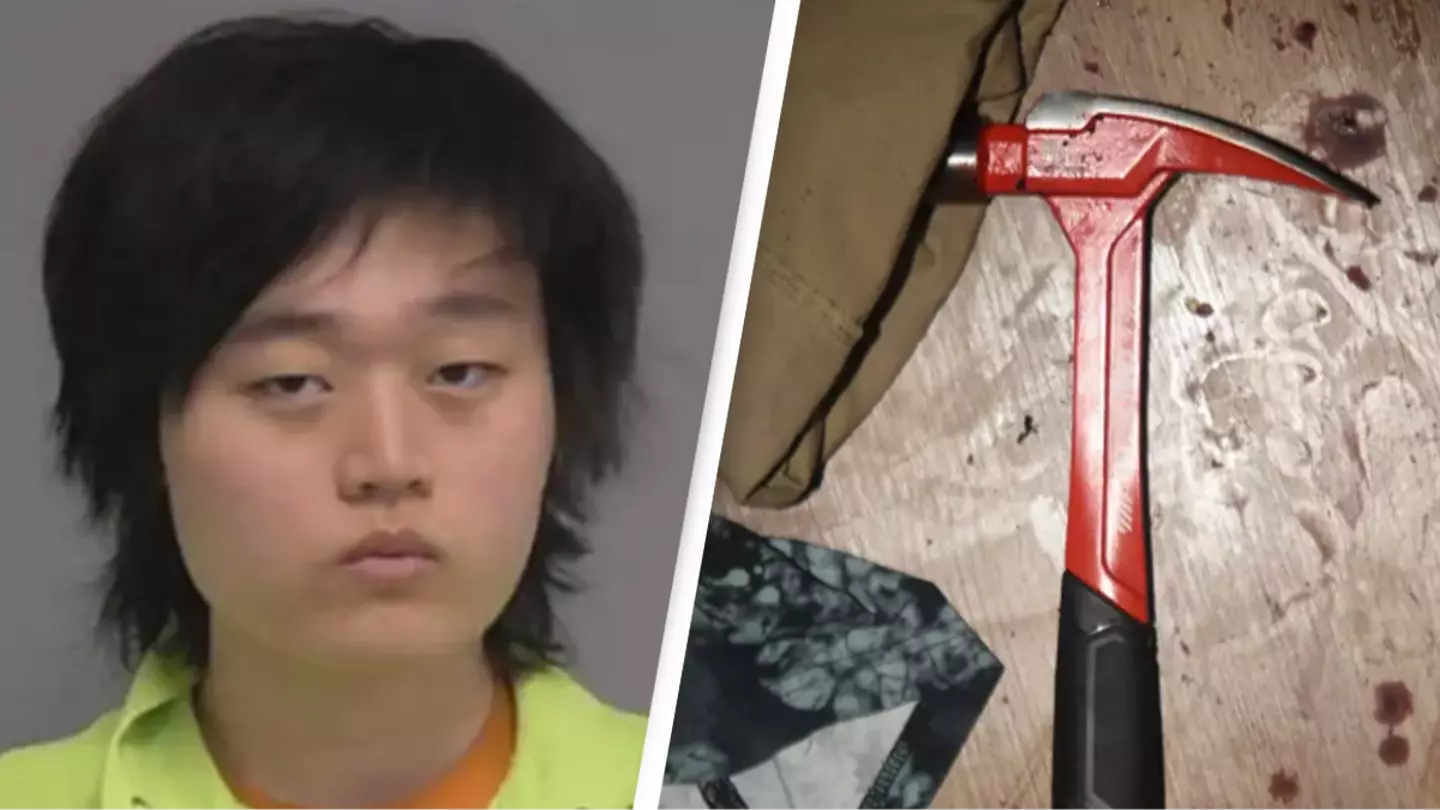 Video game fan accused of flying across the country in the middle of the night to attack online rival