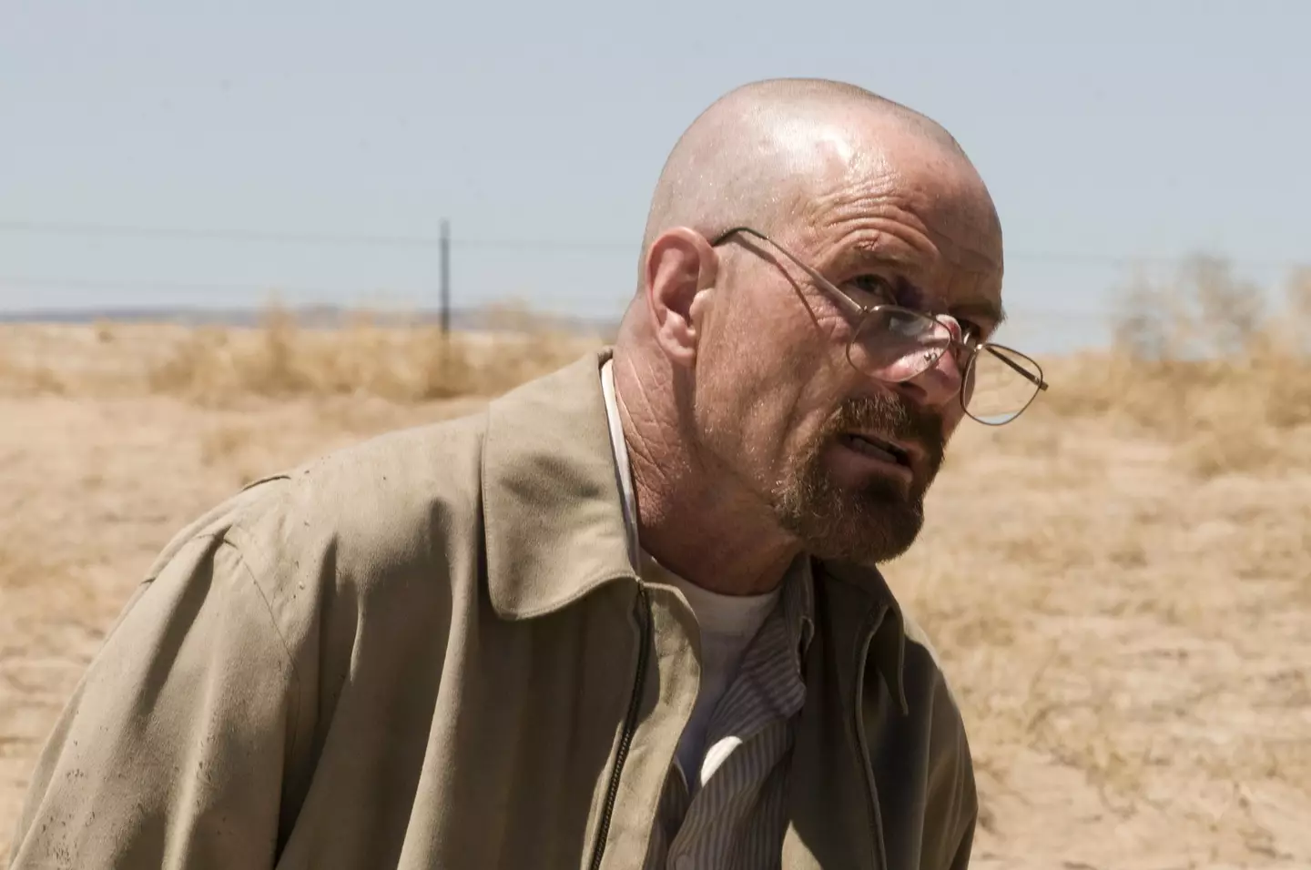 Cranston as the one who knocks. (AMC)