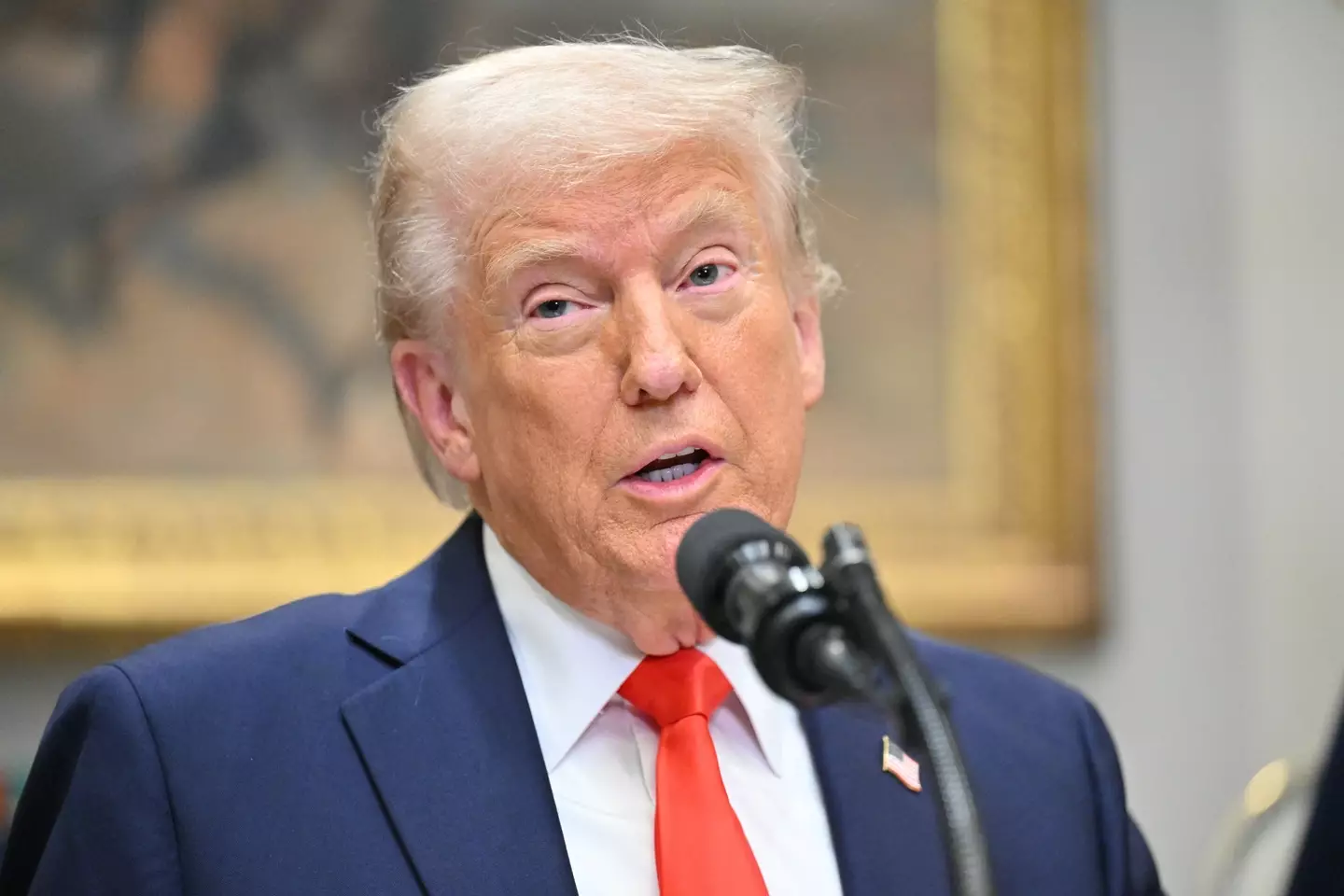 Donald Trump is set to go ahead with imposing tariffs on Canada (ROBERTO SCHMIDT/AFP via Getty Images)