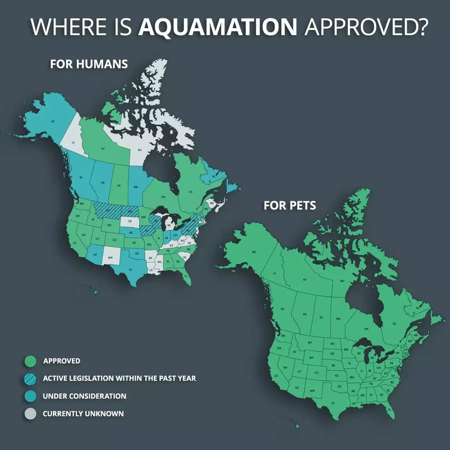 Aquamation for humans is currently approved in 21 selected American states.