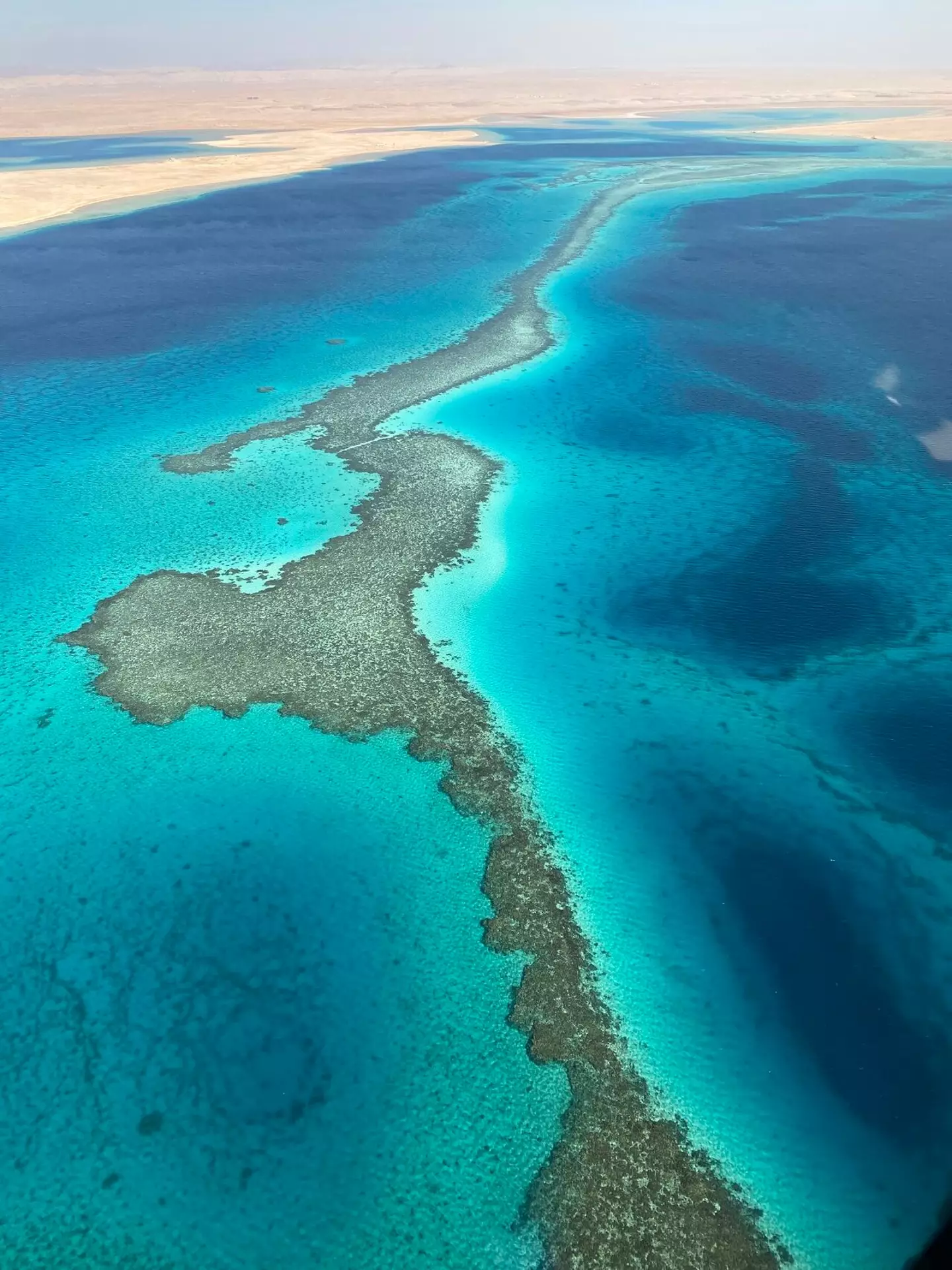 The crown prince ordered the project.