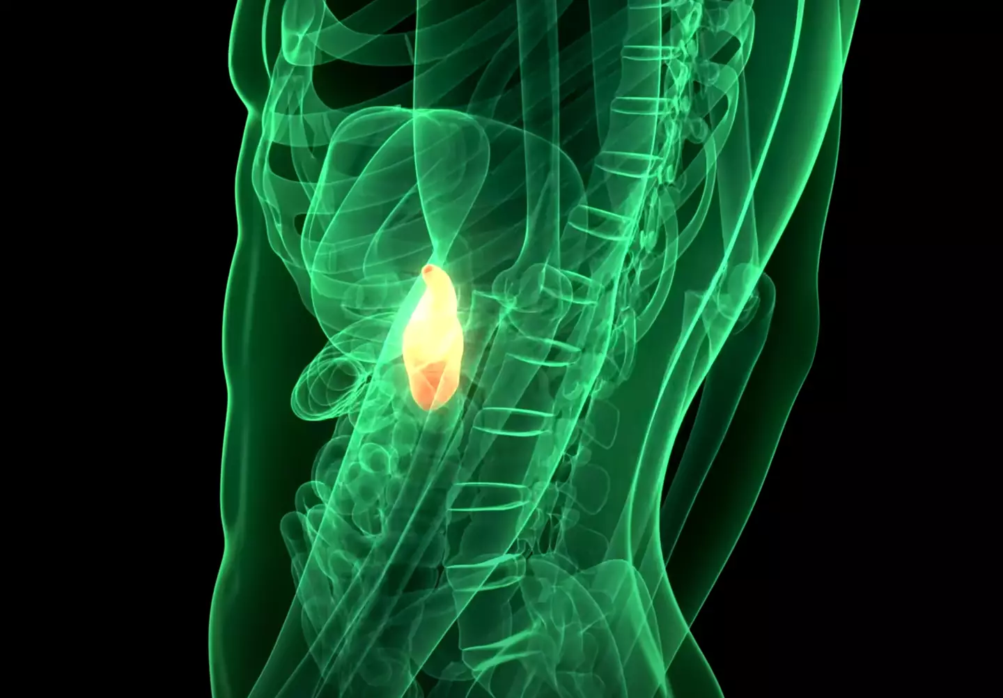 He was rushed into hospital following the stunt.