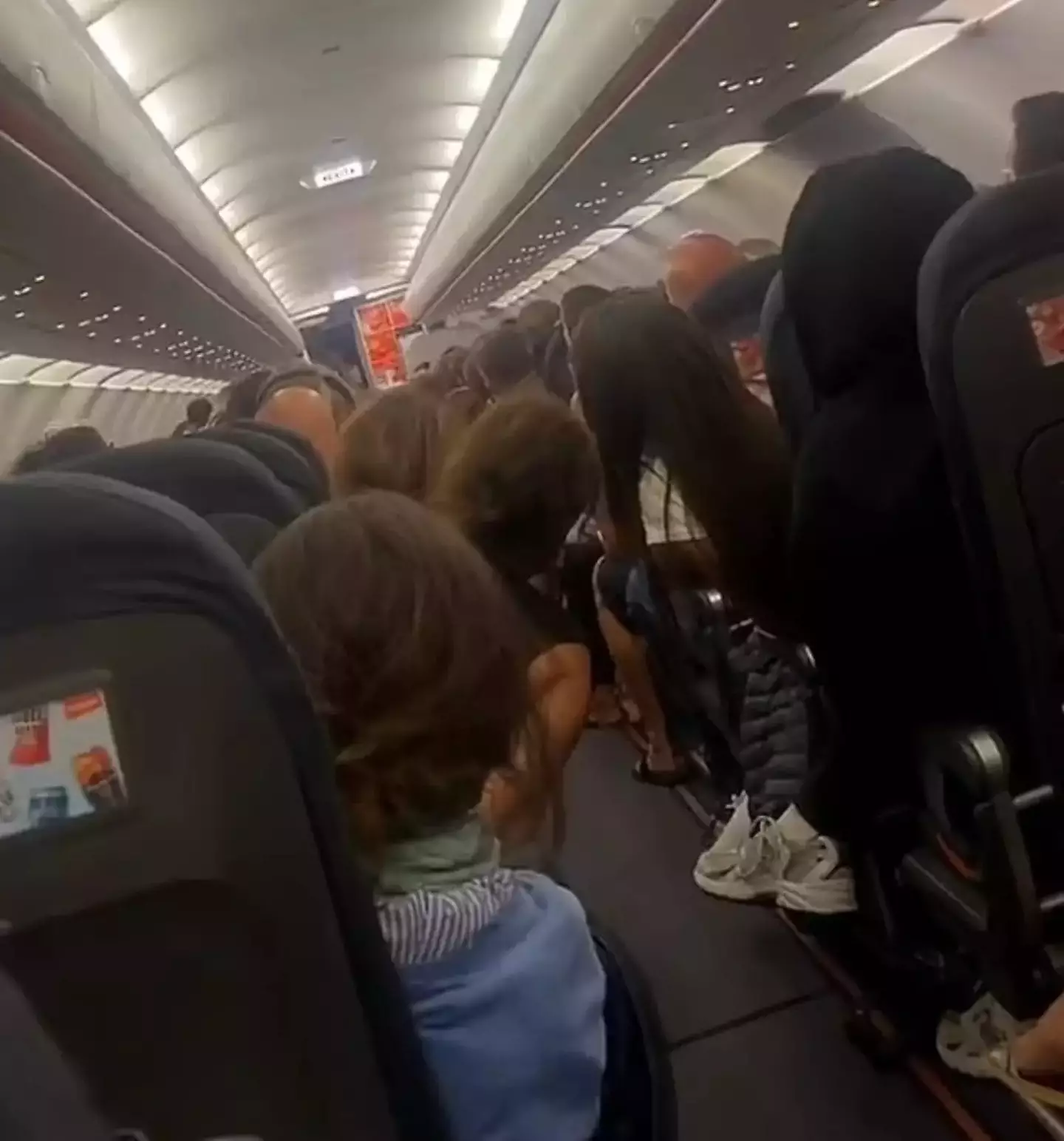 The flight was cancelled after someone defecated on the floor.