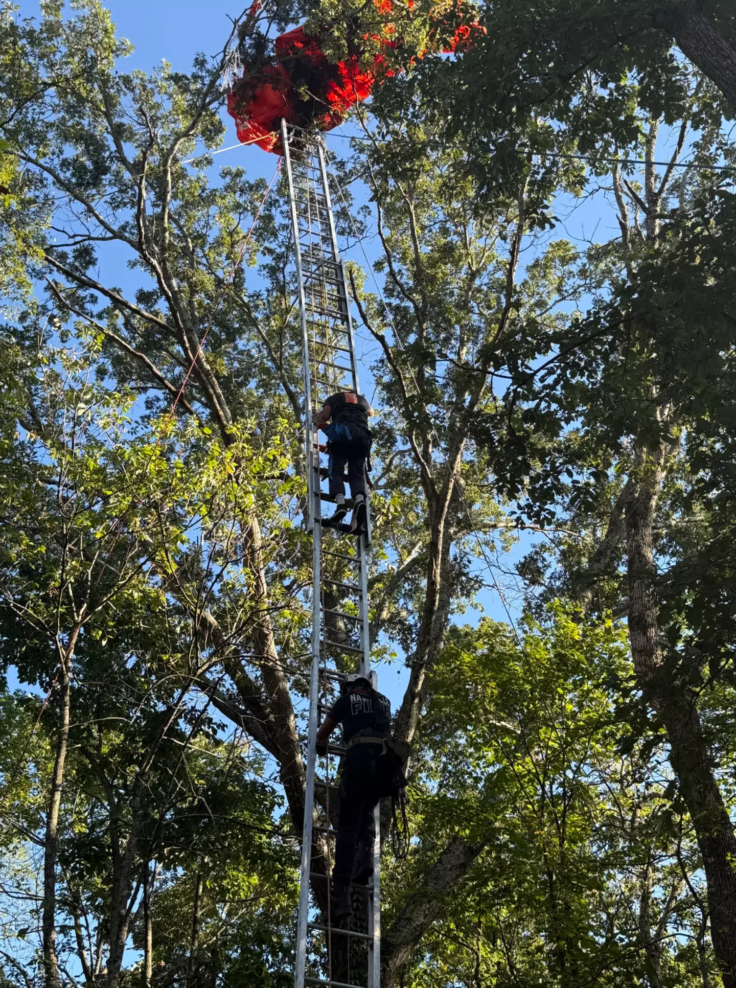 An investigation is now taking place (Nashville Fire Department)