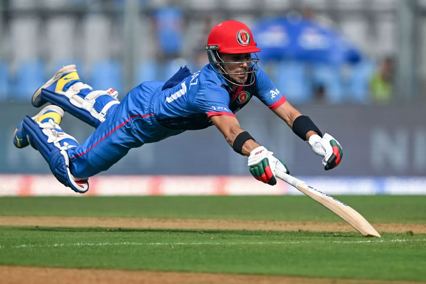 Afghanistan's Rahmanullah Gurbaz makes a very dramatic dive during the 2023 ICC Men's Cricket World Cup.