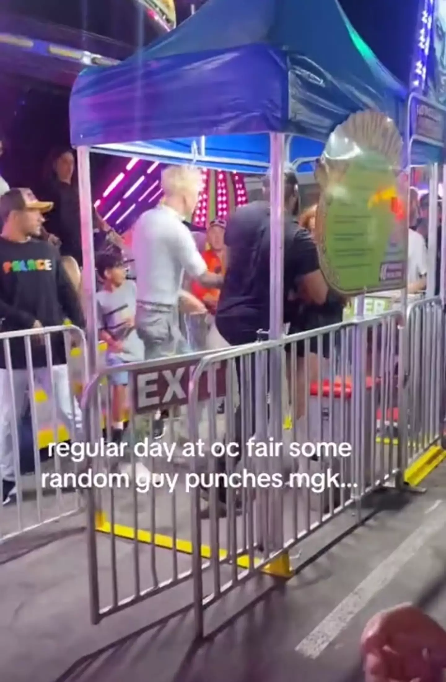 Megan Fox got slammed into a barrier during a scuffle at the fair.