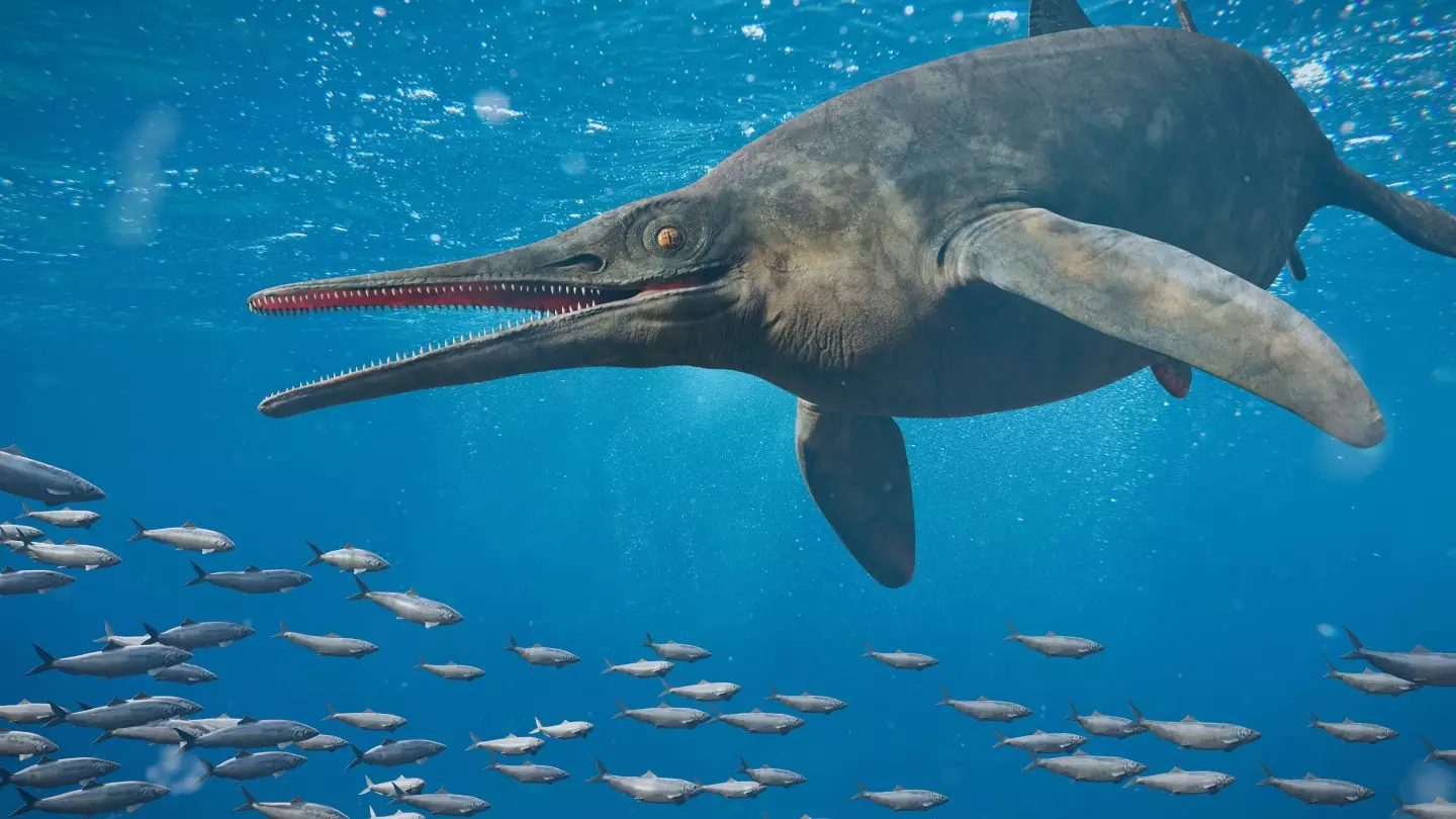A rendering of how an ichthyosaur may have looked.