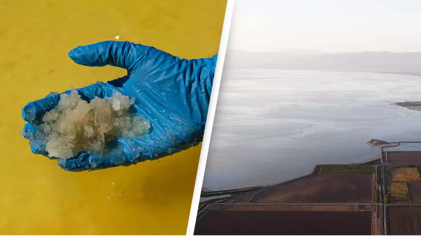 Scientists discover $540 billion worth of 'white gold' sitting beneath giant lake