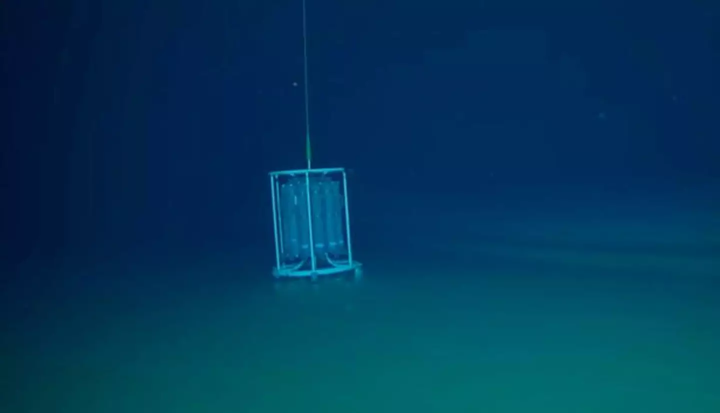 The pools were discovered in the Red Sea during a 2020 expedition.