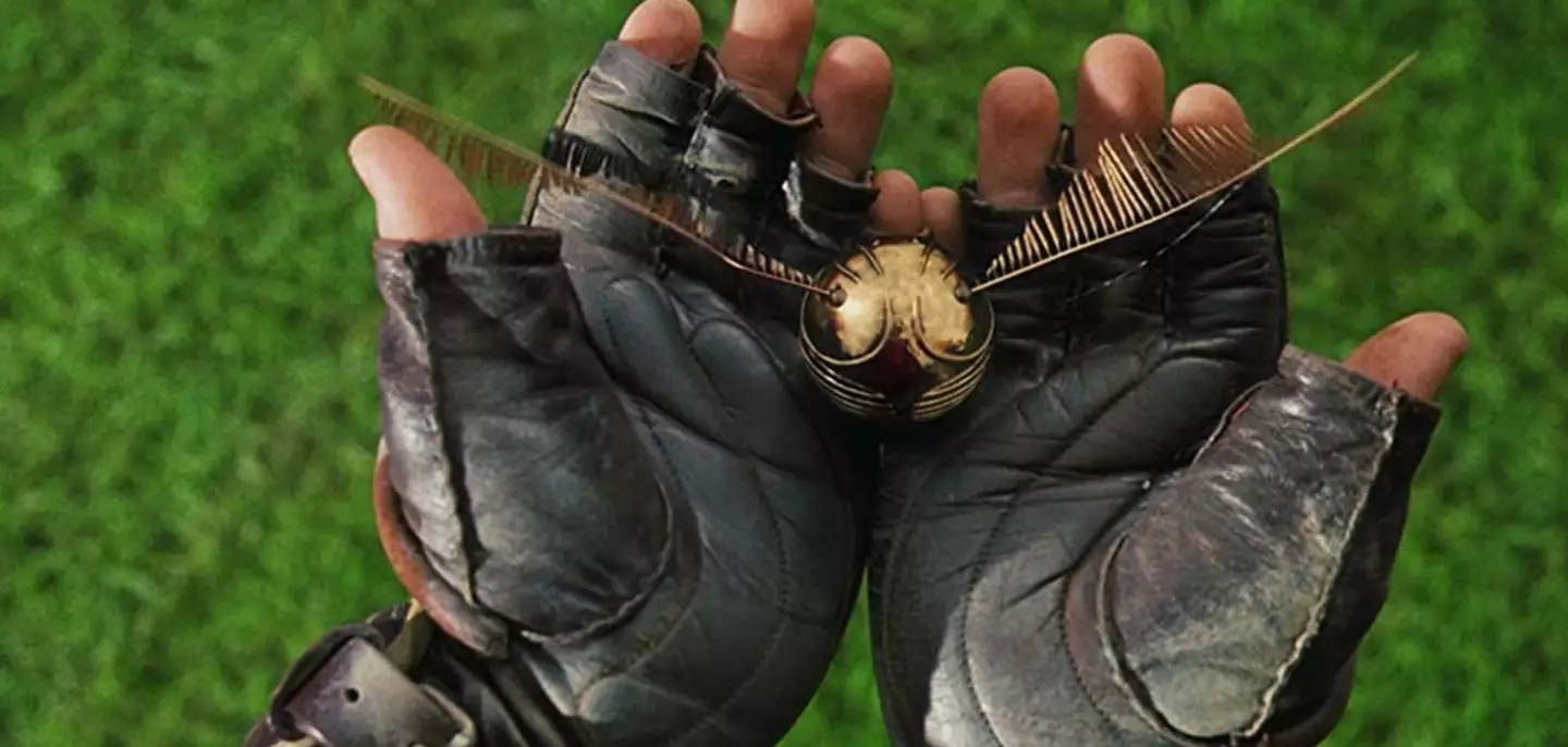 The elusive Golden Snitch of quidditch.