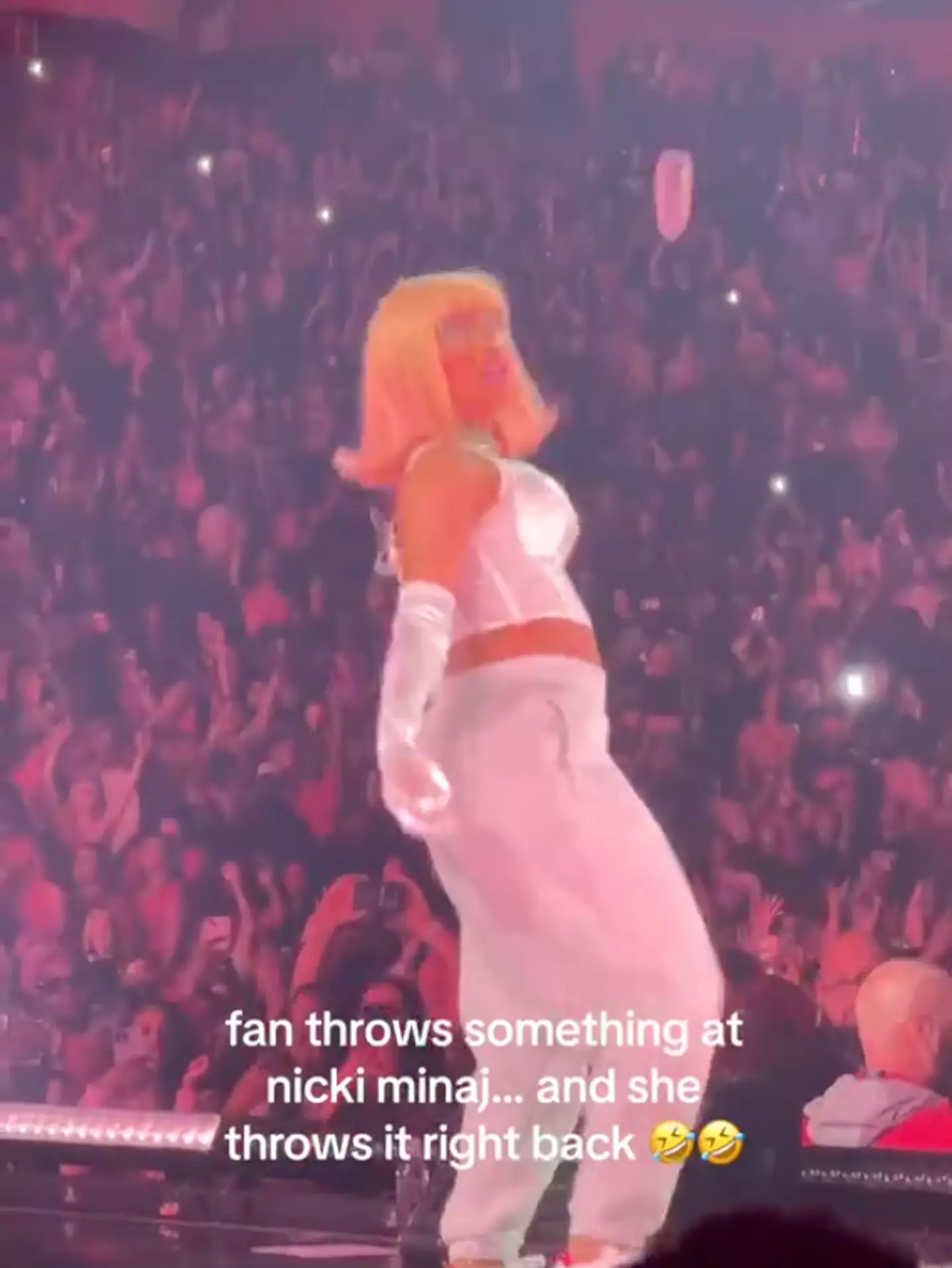 Social media users were left stunned by the whole incident and defended Minaj for her reaction. (TikTok/@itsneshaaa)
