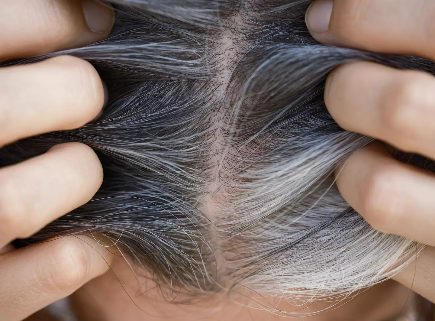 Gray hair could mean your body is doing what it i should to fight off cancer according to the study (Getty Stock Image)