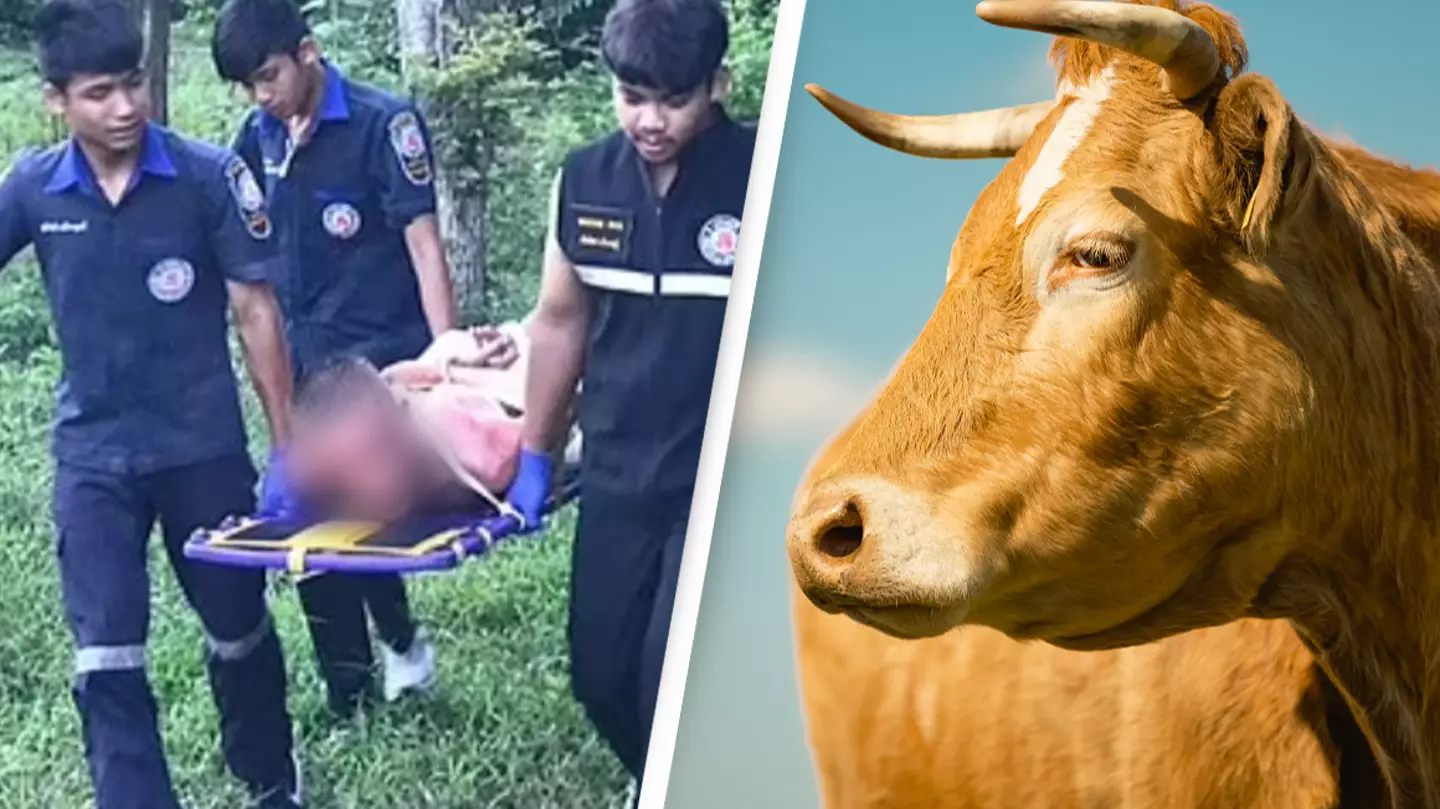 Man who 'tried to climb on top of cow naked' is attacked by animal instead and forced to be rescued by cops