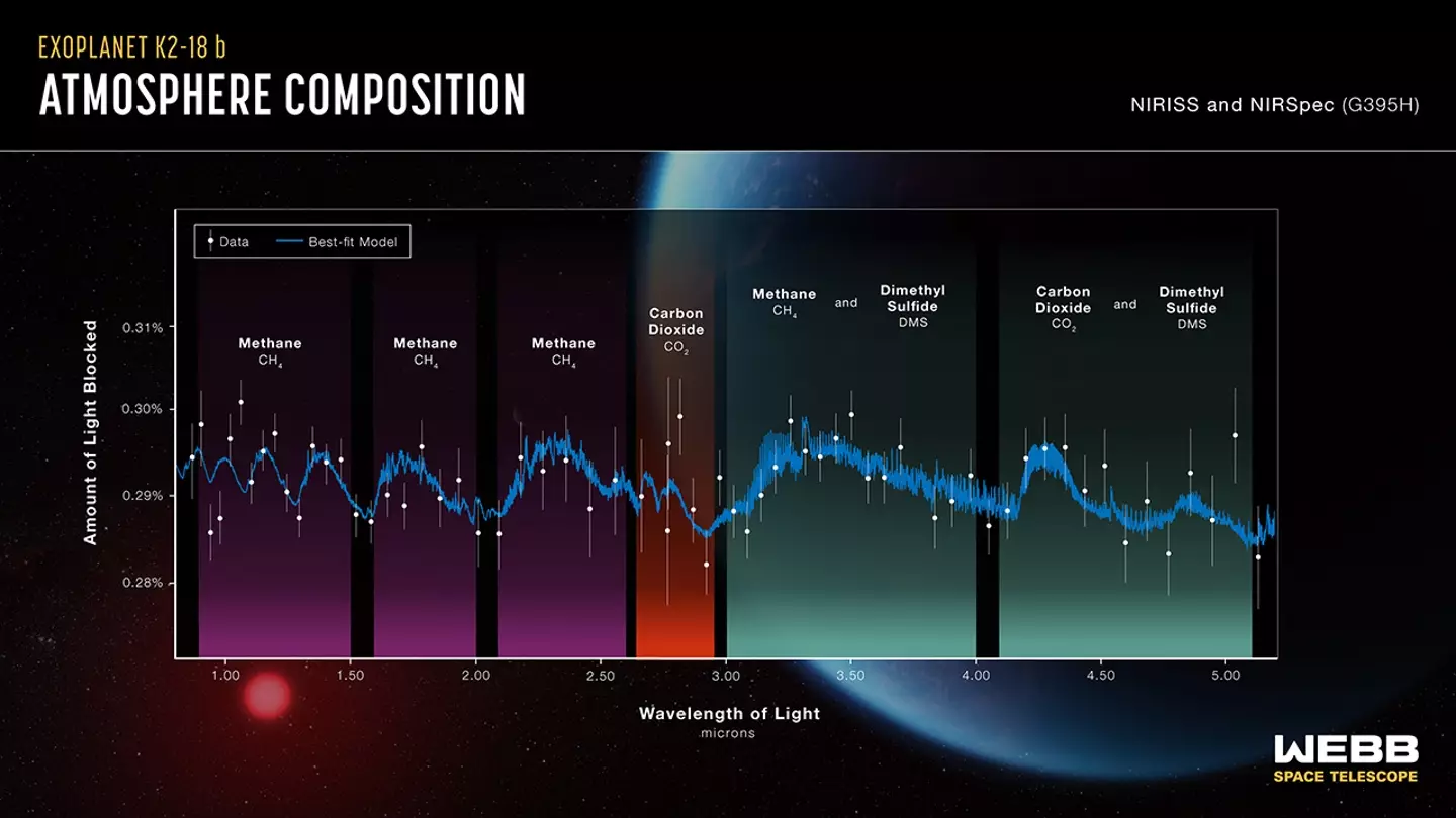 Atmosfera sull'esopianeta K2-18 b (NASA, ESA, CSA, Ralf Crawford (STScI), Joseph Olmsted (STScI))