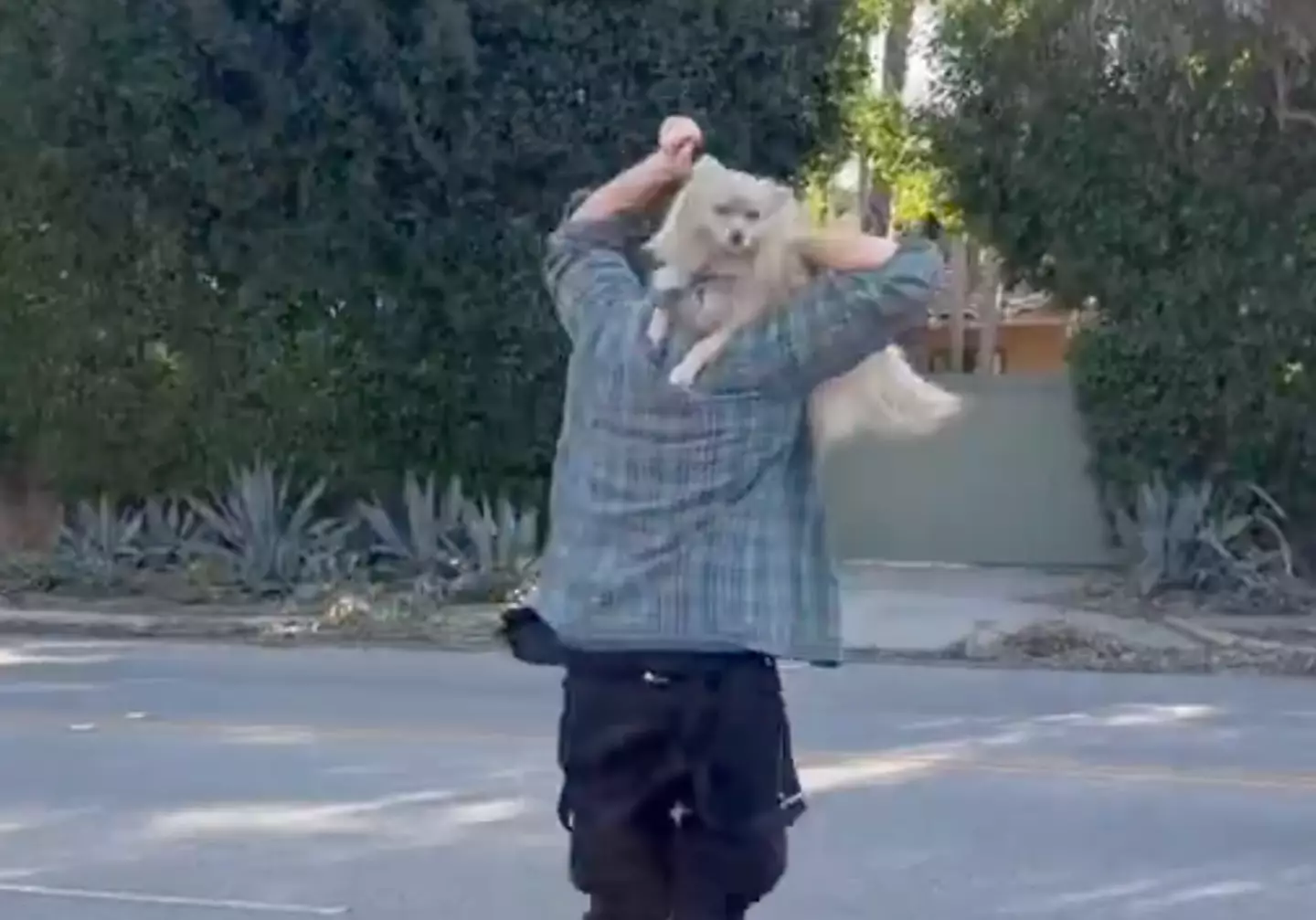 Colvin began running and cheering when he found Oreo (X/@LizKreutzNews/WKYC Channel 3)