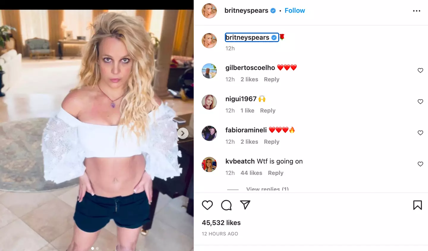 Some fans have speculated other people may be controlling Spears' Instagram page.