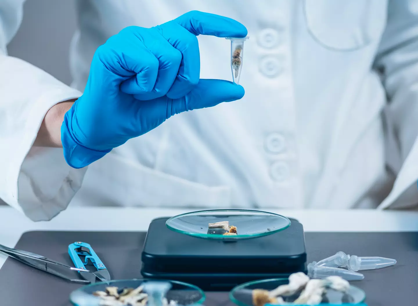 Scientists were given a high enough dose to cause hallucinations. (Getty Stock Photo)