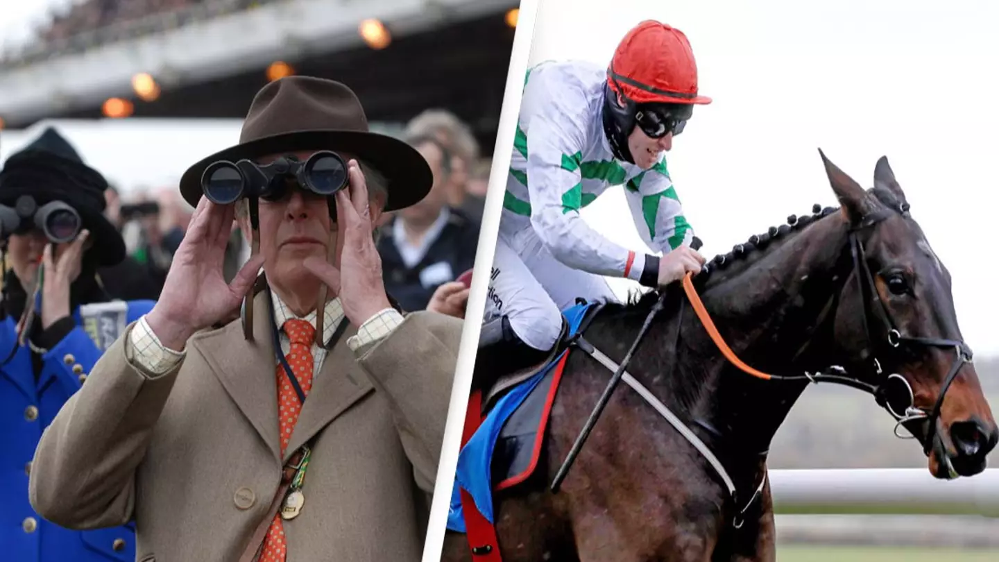 Fourth Horse Has Died At Cheltenham Festival After Falling At Hurdle