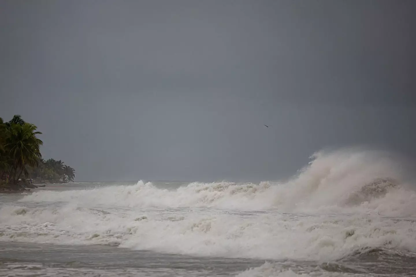 Experts have issued warnings (RICARDO ARDUENGO/AFP via Getty Images)