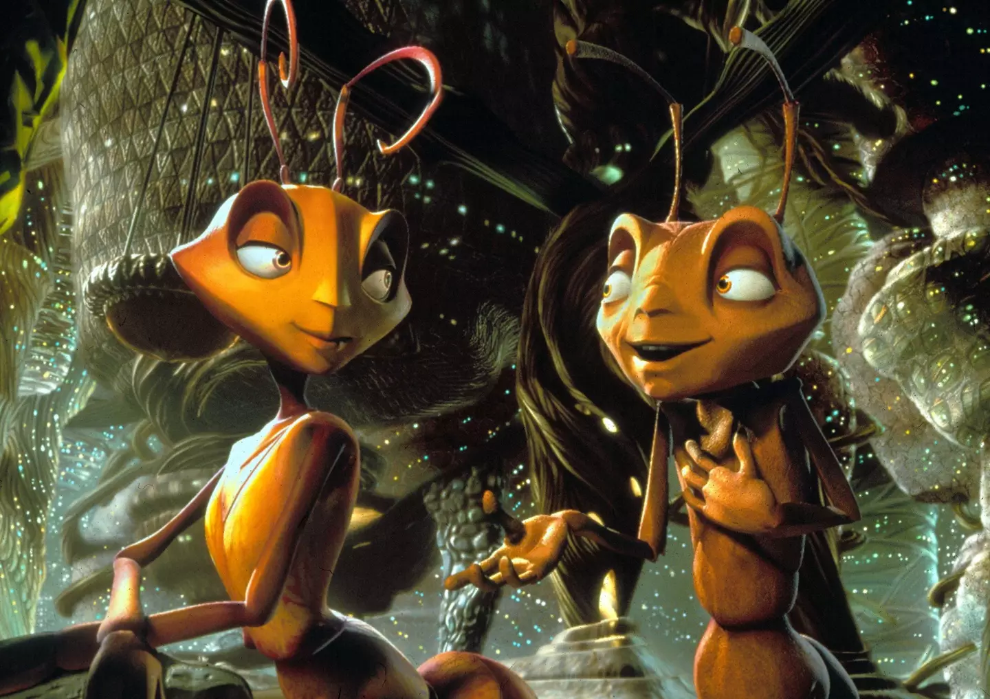 We'll never look at ants the same again.