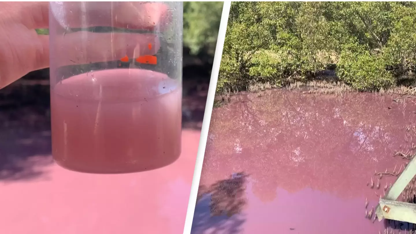 Locals stunned as wetlands suddenly turns pink in mysterious circumstances