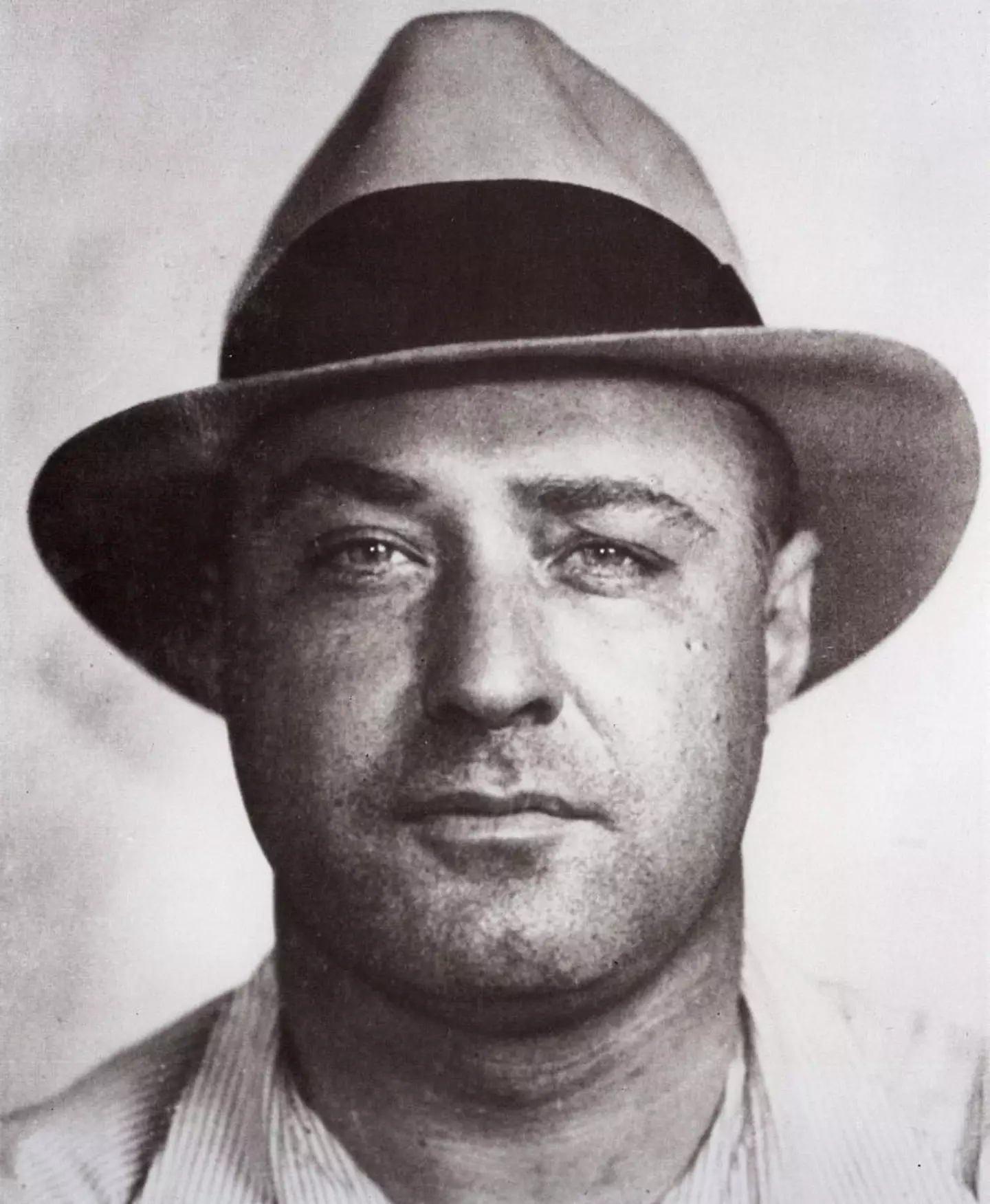 (adoc-photos/Corbis via Getty Images)