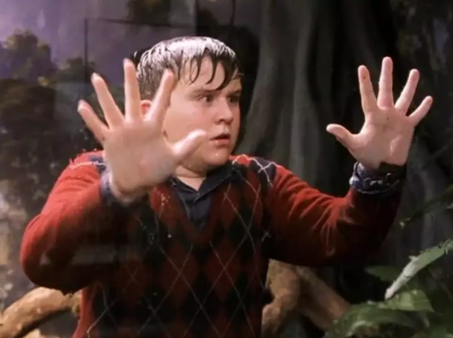 Harry Melling in Harry Potter. (Warner Bros)