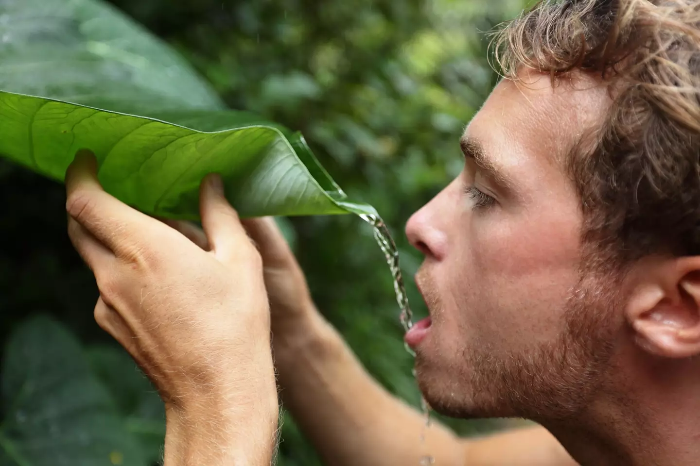 Rainwater from anywhere in the world is now too toxic for humans to drink, a study has suggested.