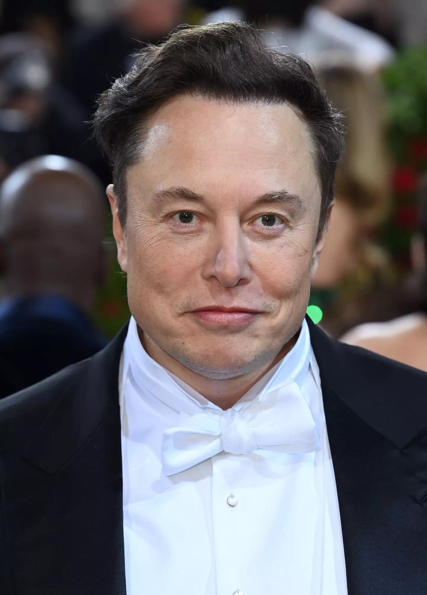 Errol Musk is also dad to Tesla CEO Elon.