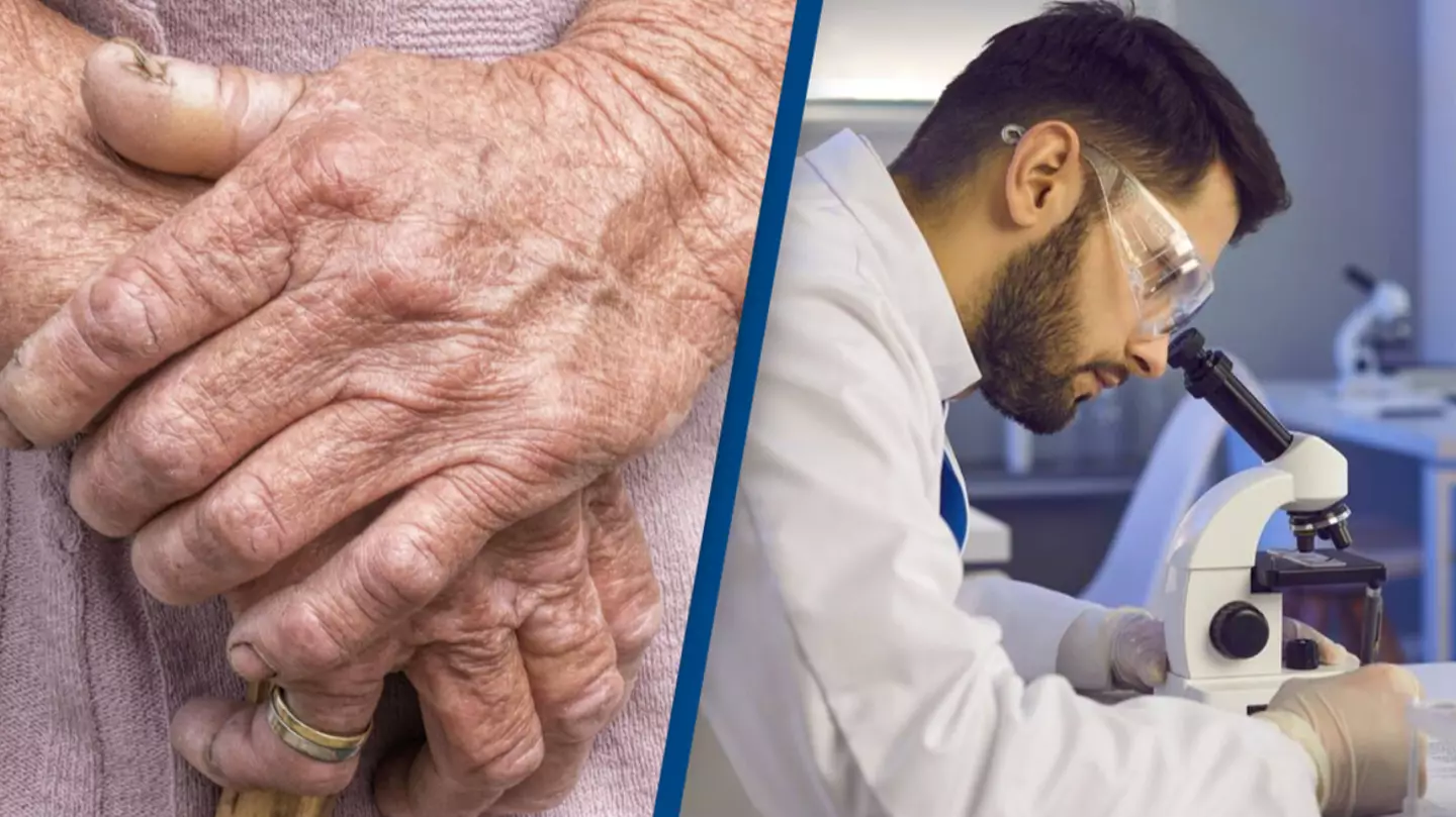 sondem / Alamy Stock Photo / Roman Lacheev / Alamy Stock Photo