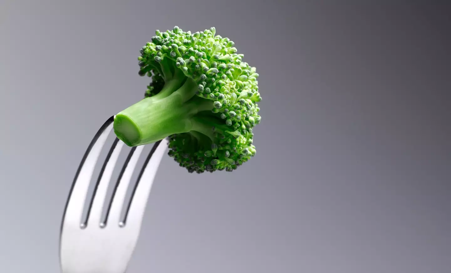 This is the broccoli we are all familiar with.