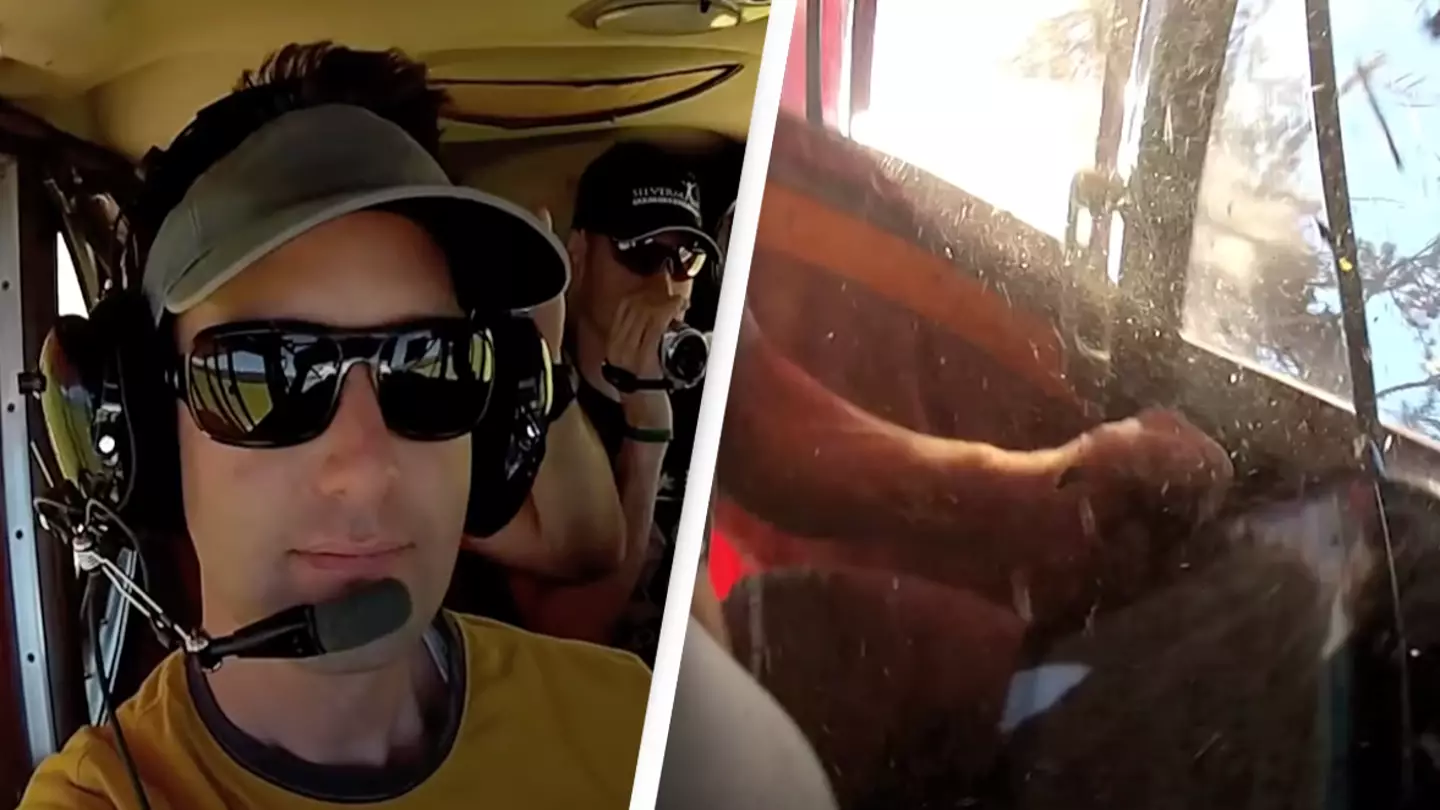 Chilling video shows inside of cockpit moments before plane crashes into forest