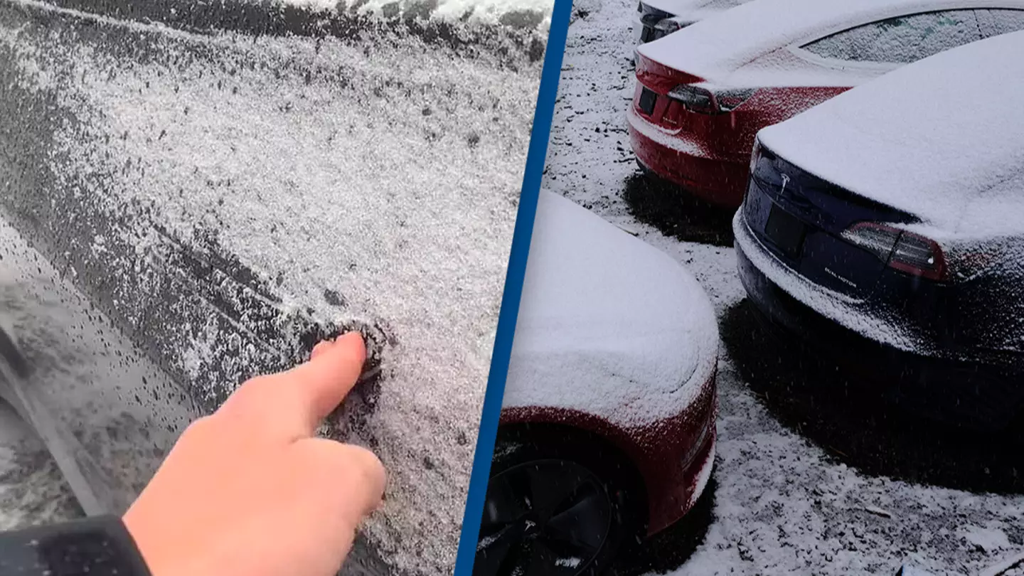 Furious Tesla owners complain about being locked out of cars due to freezing temperatures