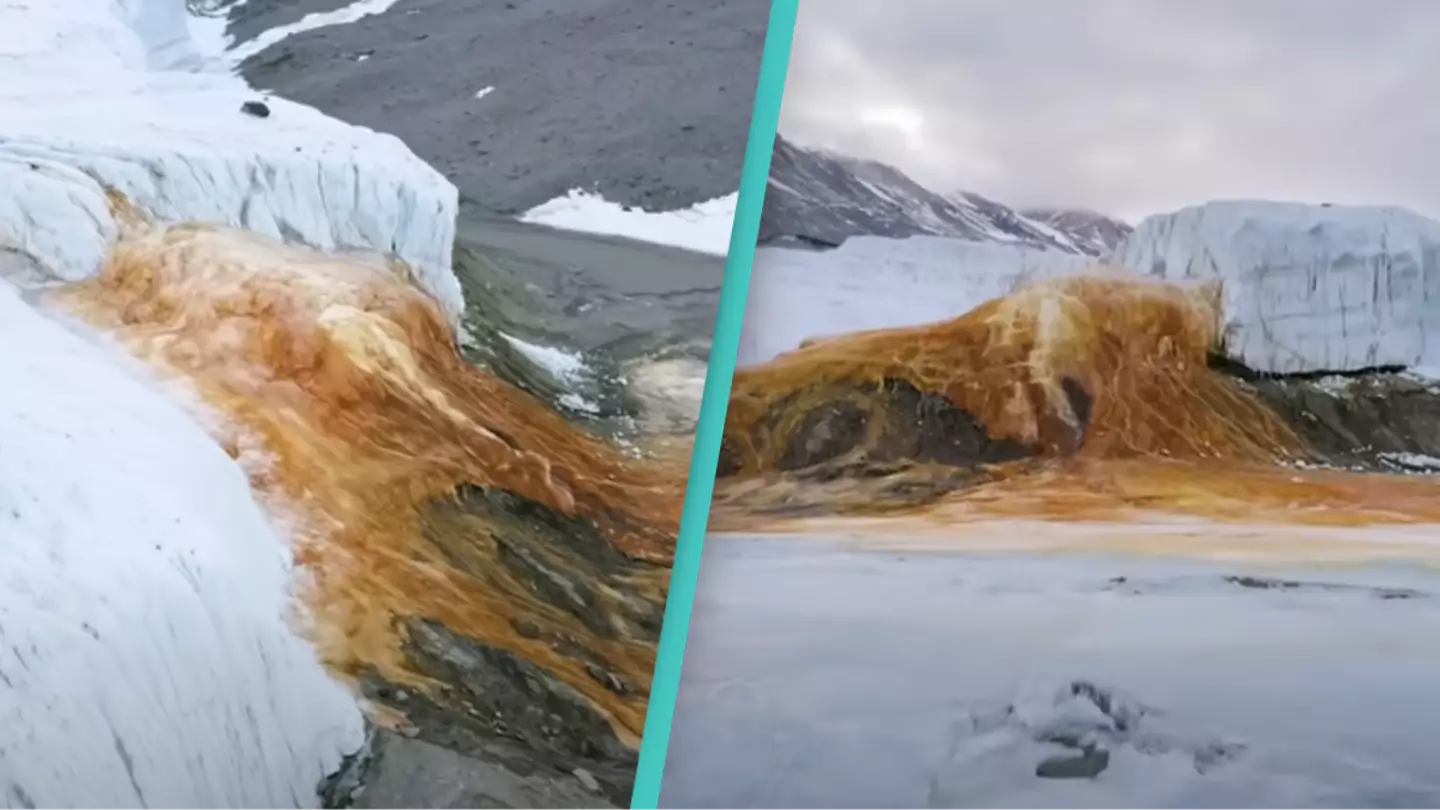 The 100-year-old mystery of Antarctica's Blood Falls finally solved