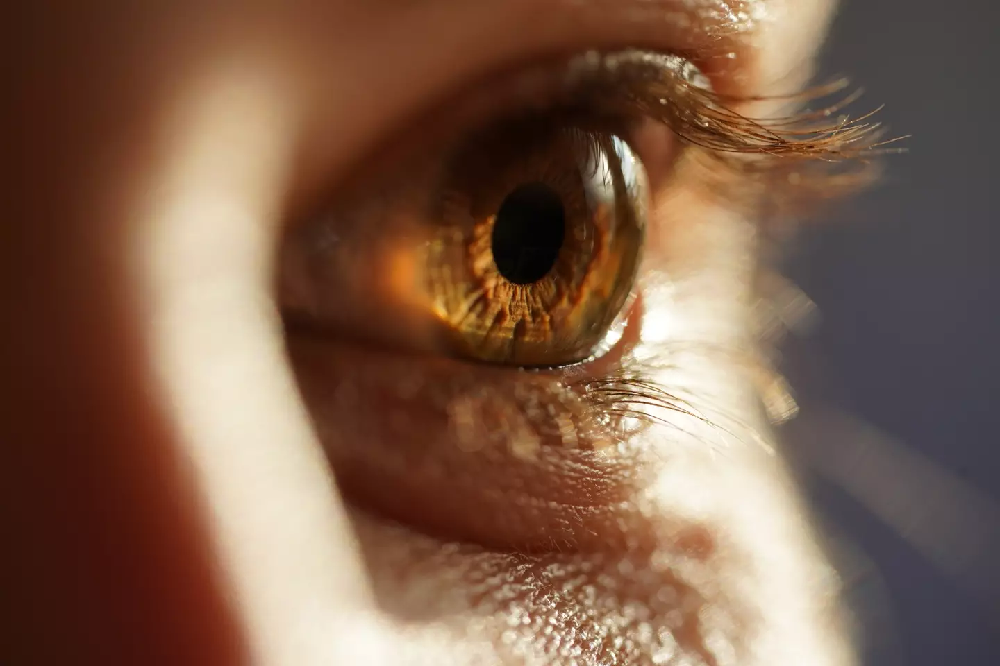 Scientists have miraculously found genes that can actually reverse vision loss in humans.