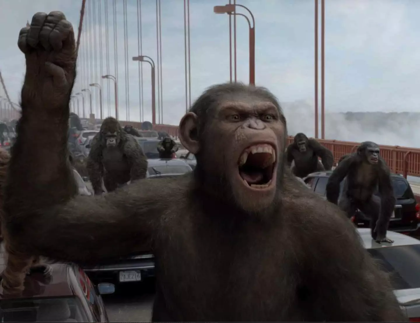 Caesar kickstarted the franchise back in 2011. (20th Century Fox)