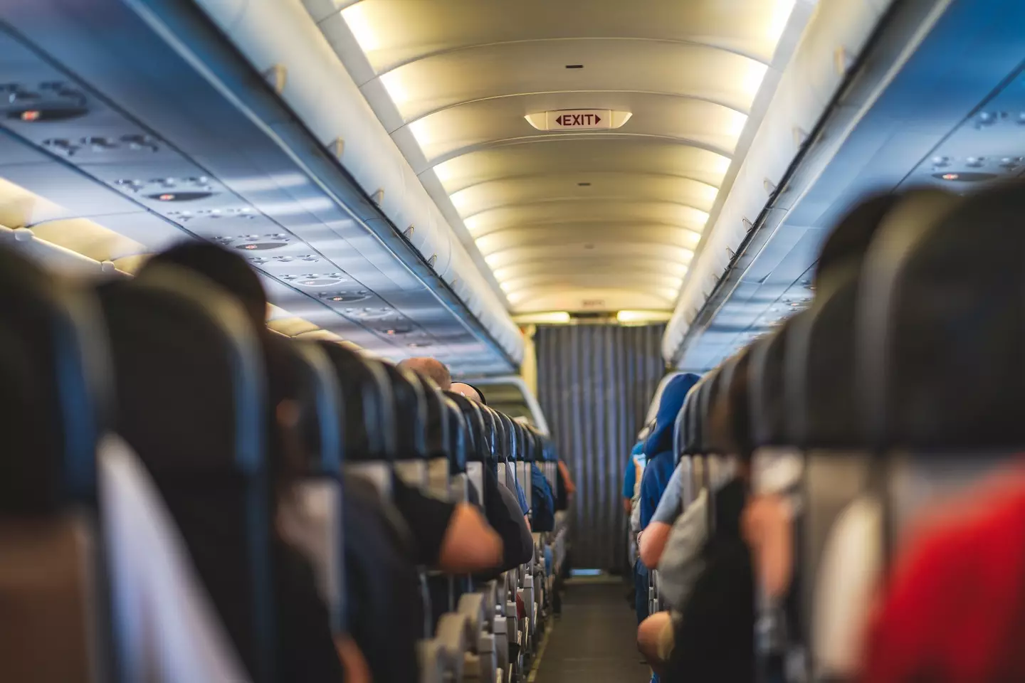 Rodney lifted himself to the floor and used his arms to drag himself to the front of the plane.