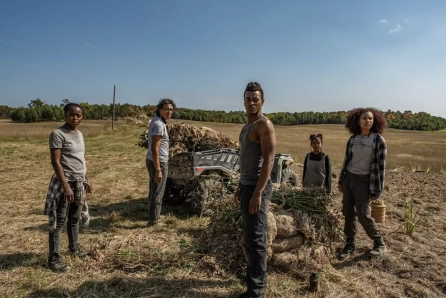 The movie is being compared to The Walking Dead (Mongrel Media)