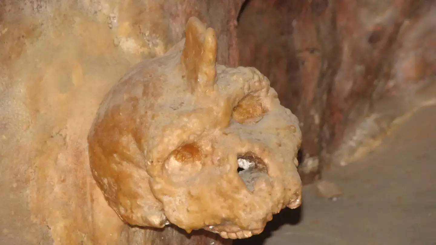 Skull found in cave leaves scientists baffled as it's not human or Neanderthal