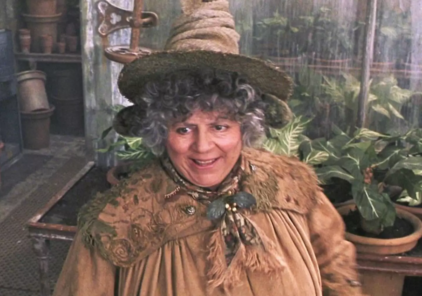 Miriam Margolyes starred in the well-loved franchise as Professor Pomona Sprout.