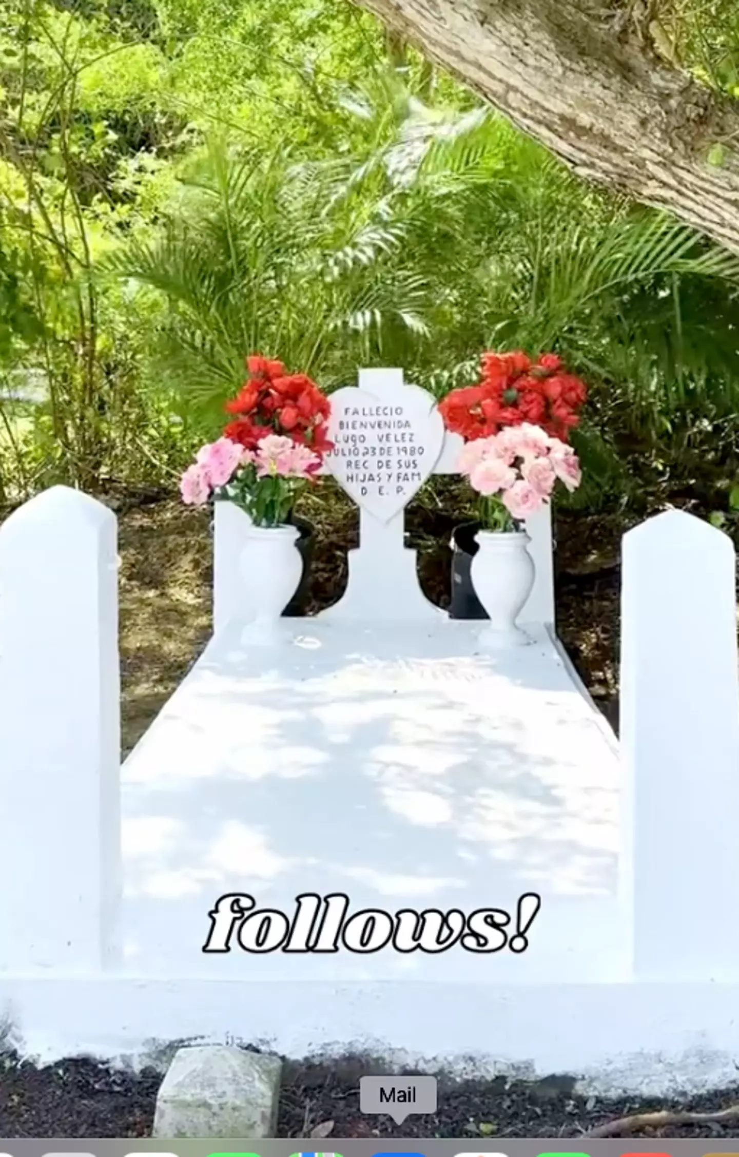 Some have accused her of painting the graves she cleans (TikTok/@_the_clean_girl)