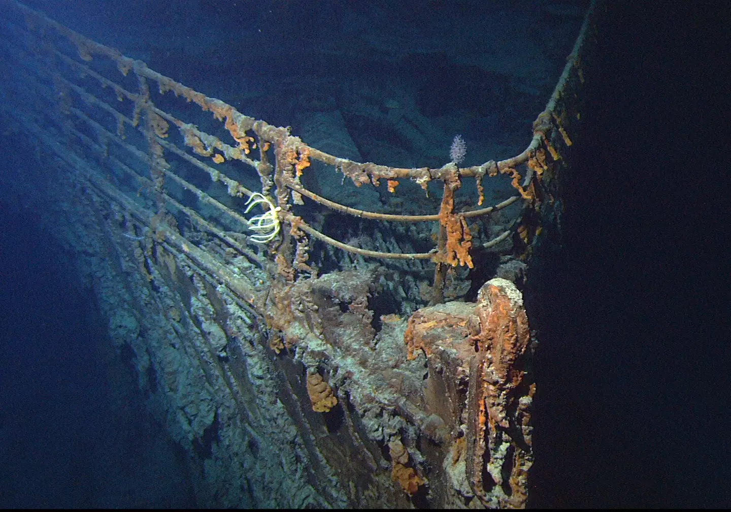 The wreck of the RMS Titanic has laid on the bottom of the Atlantic Ocean for over 100 years (NOAA/Institute for Exploration/University of Rhode Island/Wikimedia Commons)