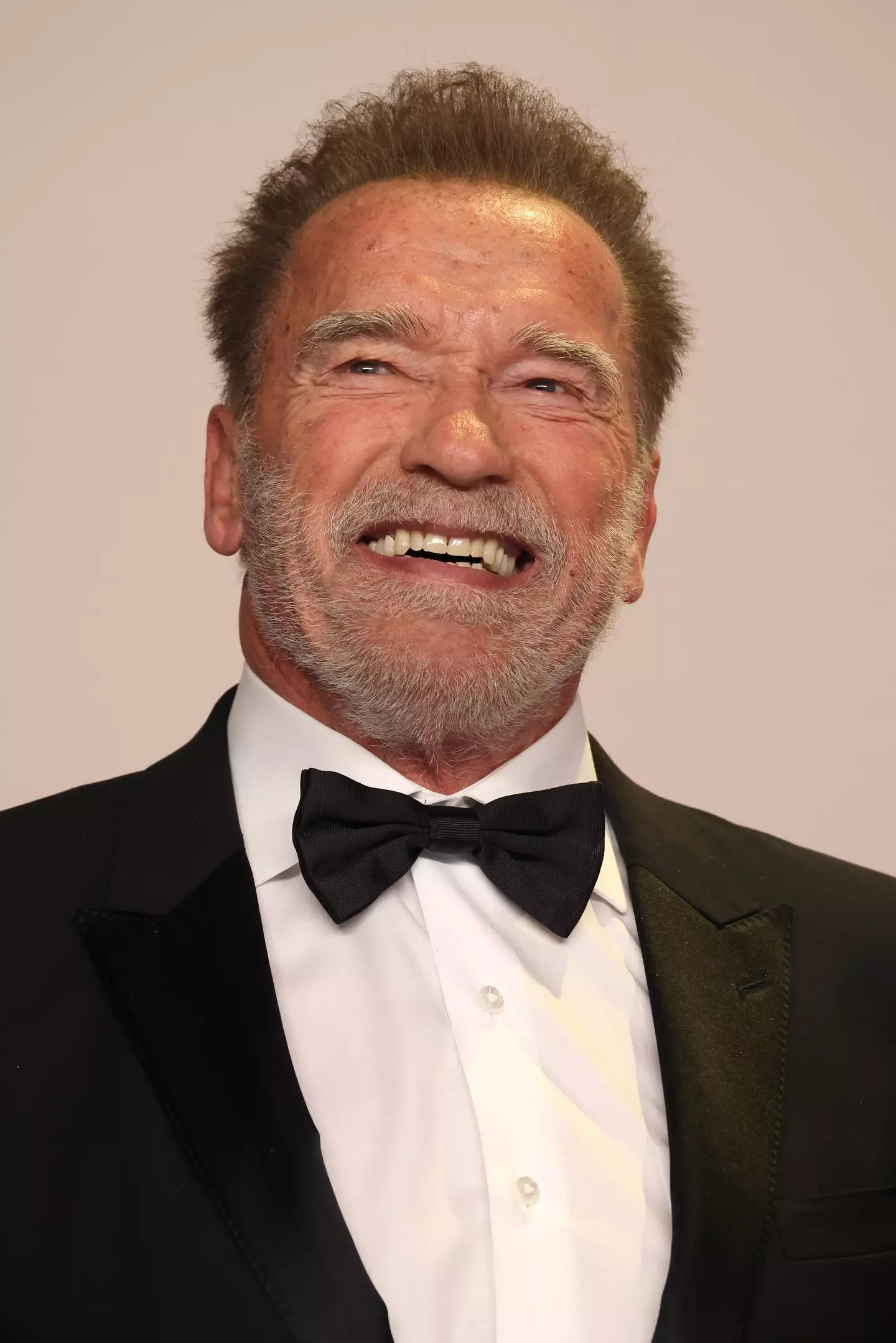 Arnold Schwarzenegger played Mr Freeze.