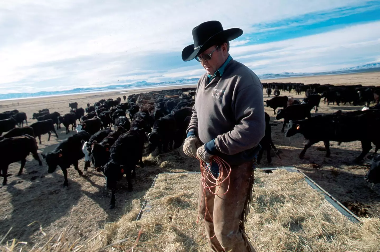The Pathfinder Ranch has been running a cattle operation for over a century (Robert Nickelsberg/Liaison)