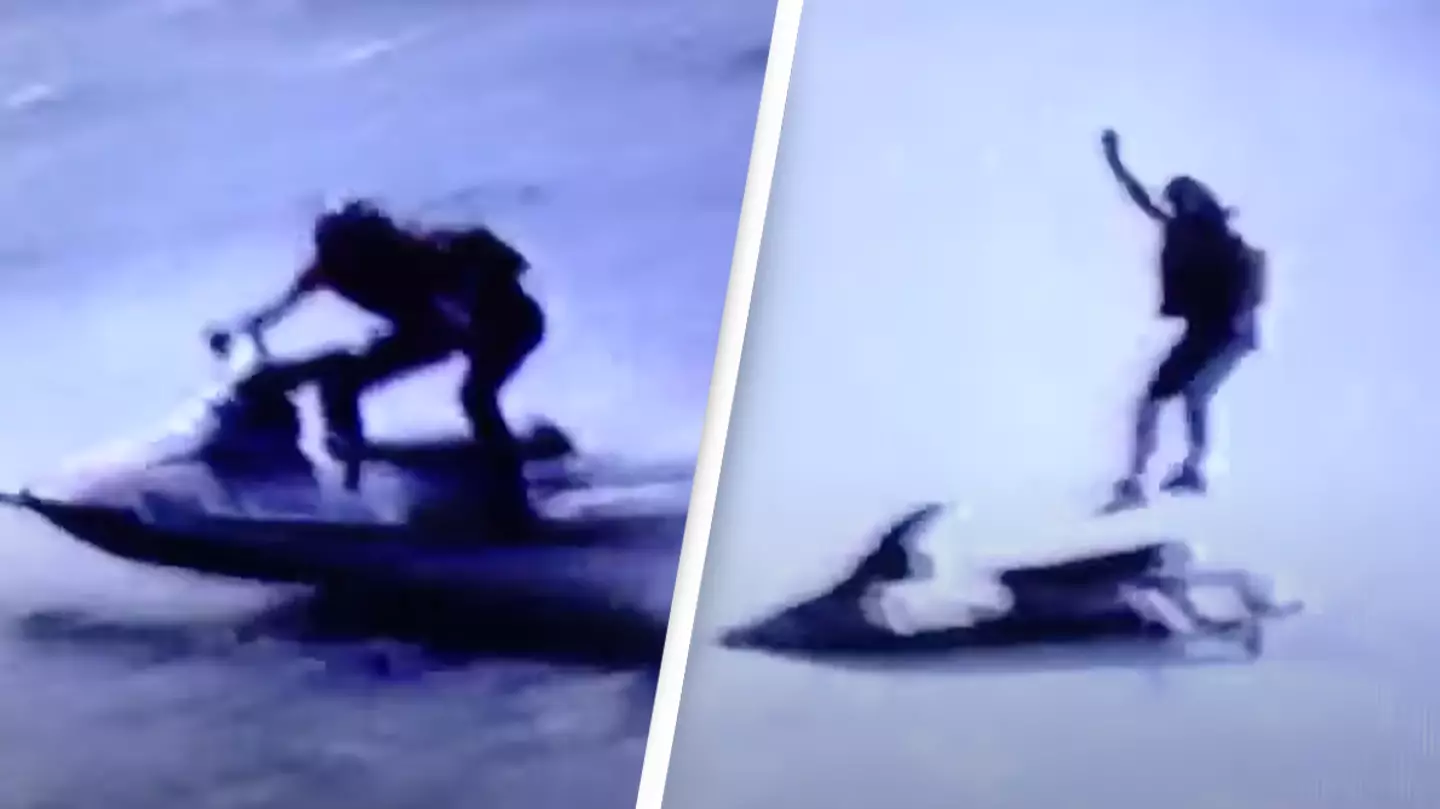 Tragic final moments of man filmed as he fell to his death after driving off Niagara Falls in protest