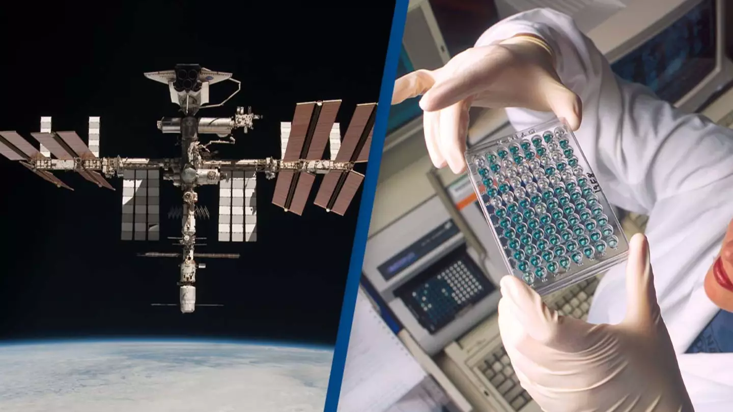 Bacteria has mutated on the International Space Station into something never seen before on Earth
