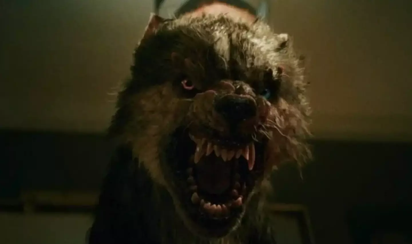 The special effects are receiving a particular amount of praise.