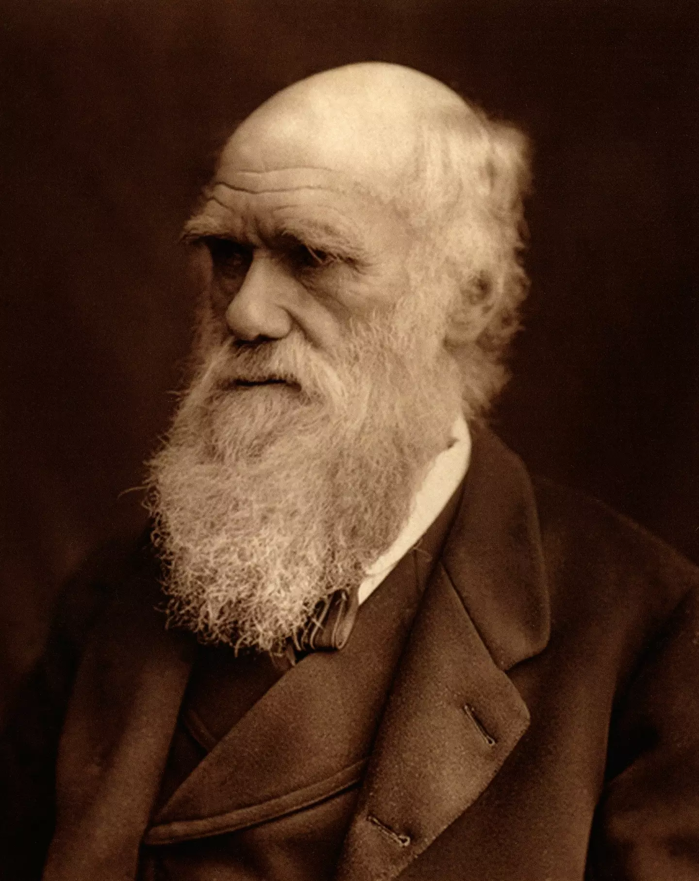 The theory builds on Darwin's Theory of Evolution.