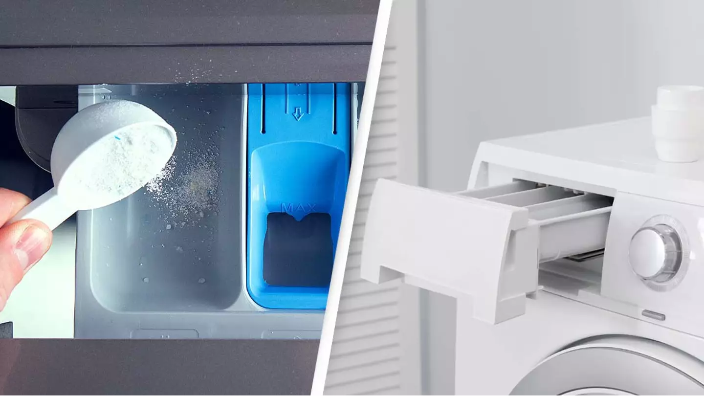 People are only just now discovering what the different washing machine trays are for